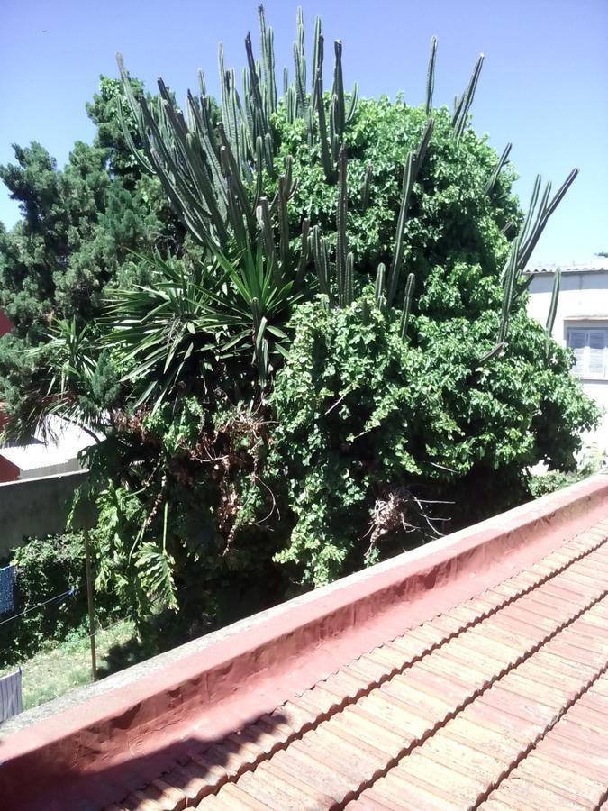 Hosteria Almirante Brown Mar del Plata Exteriör bild